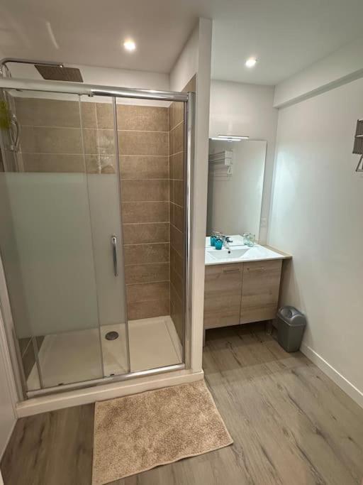 T3 Grand Standing 65m2, 1 Garage Prive, 200m Des Plages Apartment Collioure