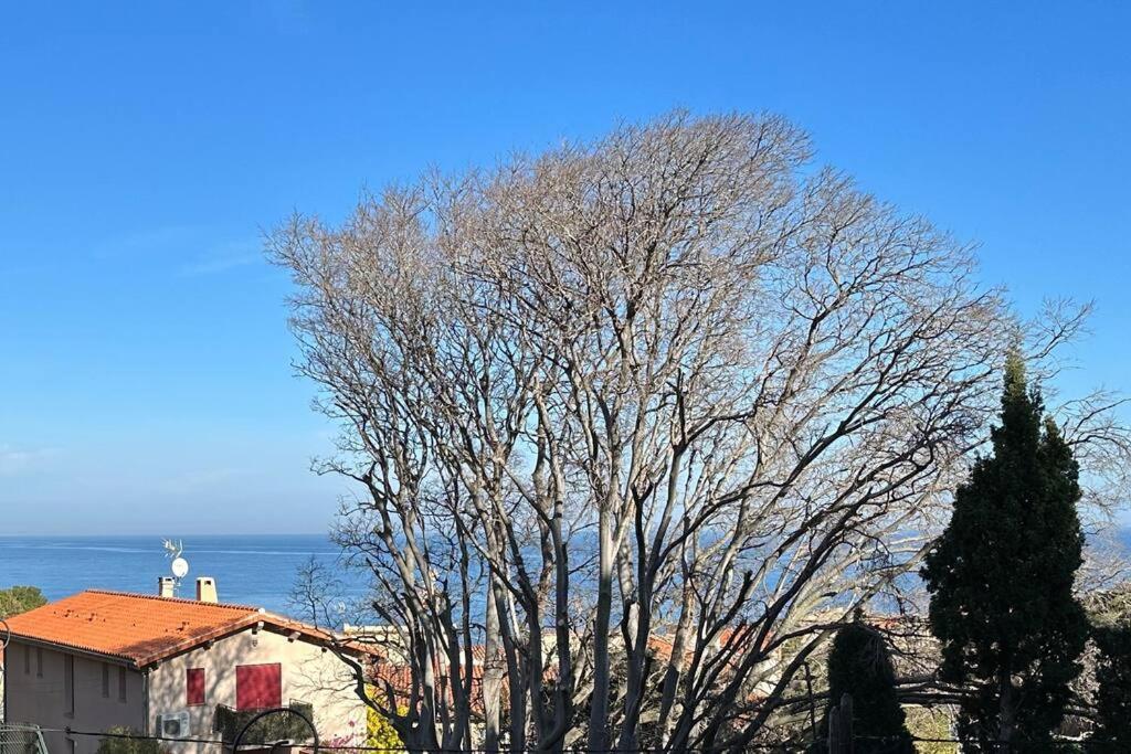 Apartment T3 Grand Standing 65m2, 1 Garage Prive, 200m Des Plages